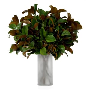 Royal Magnolia Leaf Bundle – Green & Brown Tones | Real-Touch Botanical Elegance (24 pcs)
