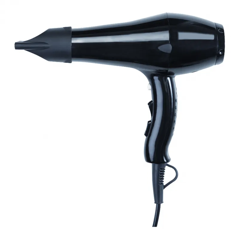 Luxury Hair Dryer with Dual Speed Control & Removable Air Filter by Luxury Group International