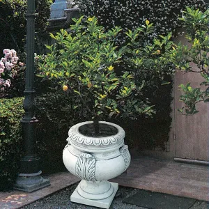 Baroque Urn Garden Planter with Sculptural Acanthus Leaf Accents - Luxury Planters Lifestyle View by Luxury Group International