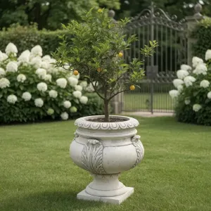 Baroque Urn Garden Planter with Sculptural Acanthus Leaf Accents - Luxury Planters Lifestyle View by Luxury Group International