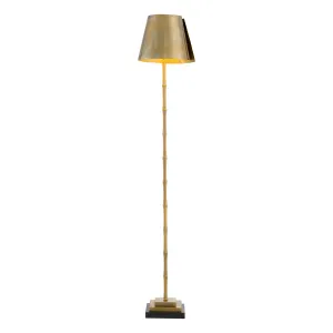 Luxury Brass Bamboo Floor Lamp with Metal Shade and Black Base Front View by Luxury Group International