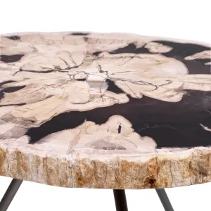 Luxury Dark Petrified Wood Coffee Table Set of 3 with Black Legs - Luxury Coffee Table Detail View by Luxury Group International