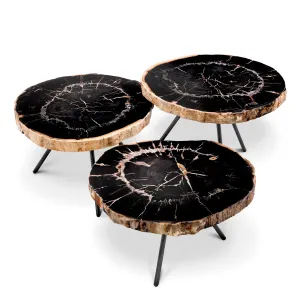 Luxury Dark Petrified Wood Coffee Table Set of 3 with Black Legs - Luxury Coffee Table Front View by Luxury Group International