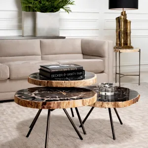 Luxury Dark Petrified Wood Coffee Table Set of 3 with Black Legs - Luxury Coffee Table Lifestyle View by Luxury Group International