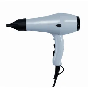 Luxury Hair Dryer with Dual Speed Control & Removable Air Filter by Luxury Group International