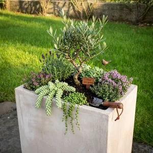 Luxury Hand-Finished Rectangular Carrara Marble Granule Garden Planter - Luxury Planters Lifestyle View by Luxury Group International