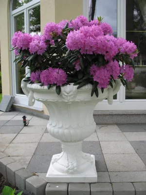 Jardinera Monumental de Lujo en Forma de Urna con Máscaras de Cabeza de León y Asas en Espiral - Maceteros de Lujo Vista lifestyle por Luxury Group International
