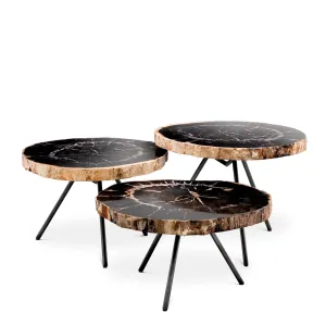Luxury Dark Petrified Wood Coffee Table Set of 3 with Black Legs - Luxury Coffee Table by Luxury Group International