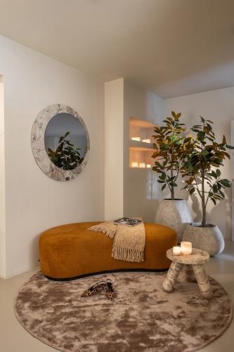 Wall Mirrors