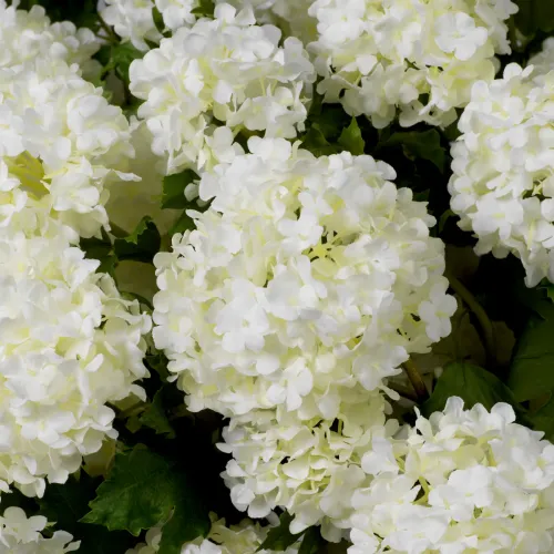 Royal Bouquet of Hydrangeas – Snowball Green | Real-Touch Floral Arrangement (36 pcs) by Luxury Group International