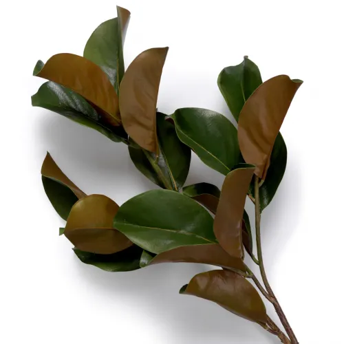 Royal Magnolia Leaf Bundle – Green & Brown Tones | Real-Touch Botanical Elegance (24 pcs) by Luxury Group International