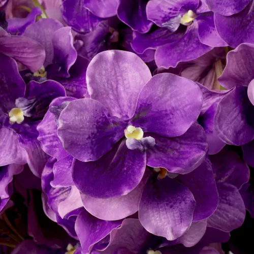 Majestic Vanda Orchid Bouquet – Real-Touch Purple Elegance (24 pcs) by Luxury Group International