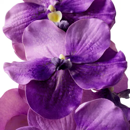 Majestic Vanda Orchid Bouquet – Real-Touch Purple Elegance (24 pcs) by Luxury Group International