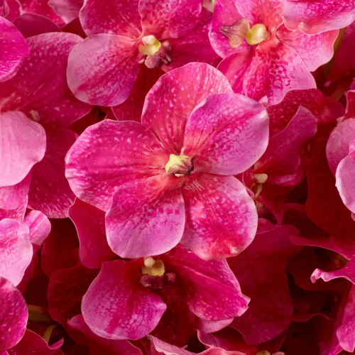 Majestic Vanda Orchid Bouquet – Real-Touch Purple Elegance (24 pcs) by Luxury Group International