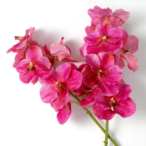 Majestic Vanda Orchid Bouquet – Real-Touch Purple Elegance (24 pcs) by Luxury Group International