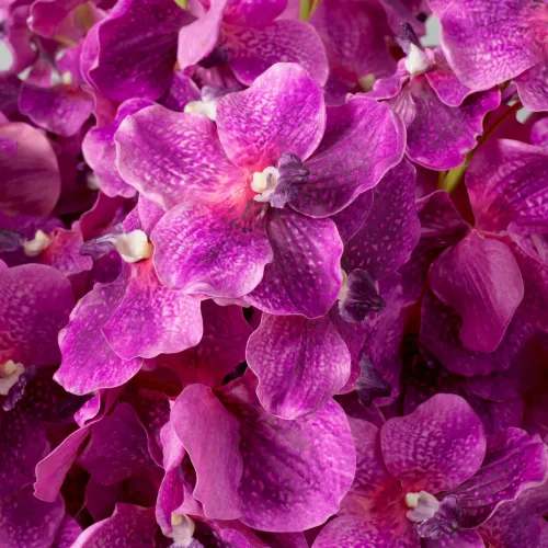 Majestic Vanda Orchid Bouquet – Real-Touch Purple Elegance (24 pcs) by Luxury Group International