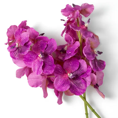 Majestic Vanda Orchid Bouquet – Real-Touch Purple Elegance (24 pcs) by Luxury Group International