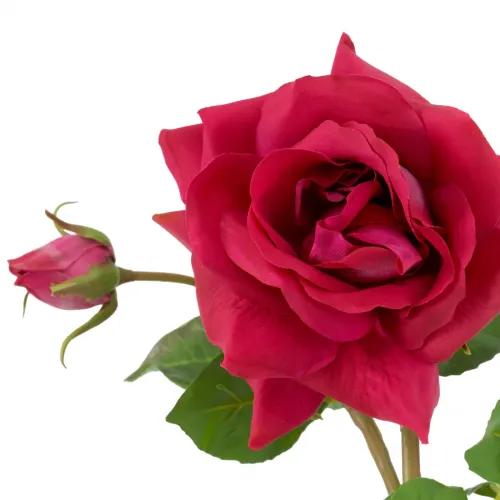 Royal Garden Rose Bouquet – Real-Touch Multi-Color Elegance (72 pcs) by Luxury Group International