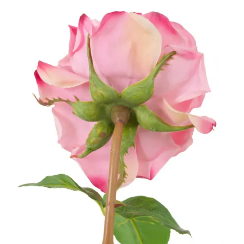 Royal Garden Rose Bouquet – Real-Touch Multi-Color Elegance (72 pcs) by Luxury Group International