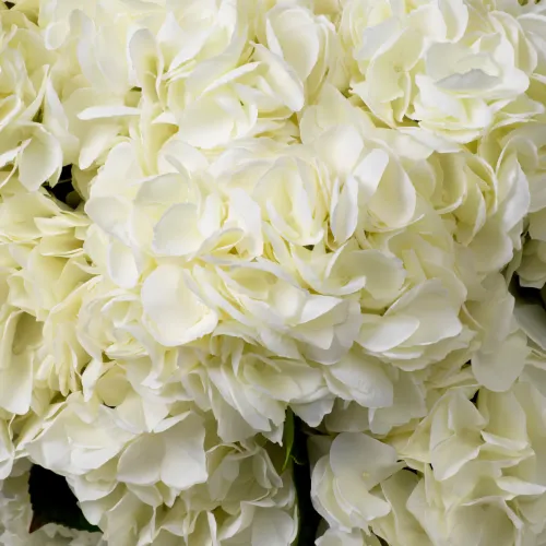 Bouquet of White Hydrangeas – Real Touch Luxury Floral Arrangement (48 pcs) by Luxury Group International