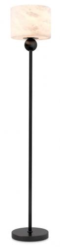 Luxury Black Bronze Highlight Finish Floor Lamp with Alabaster Light