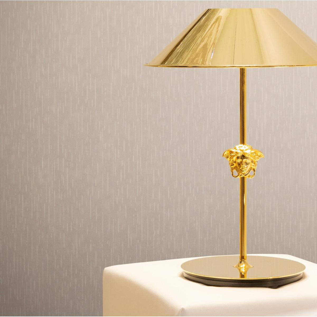 Carta da Parati di Design Versace Beige Grigio Lucida a Tinta Unita Testurizzata di Luxury Group International