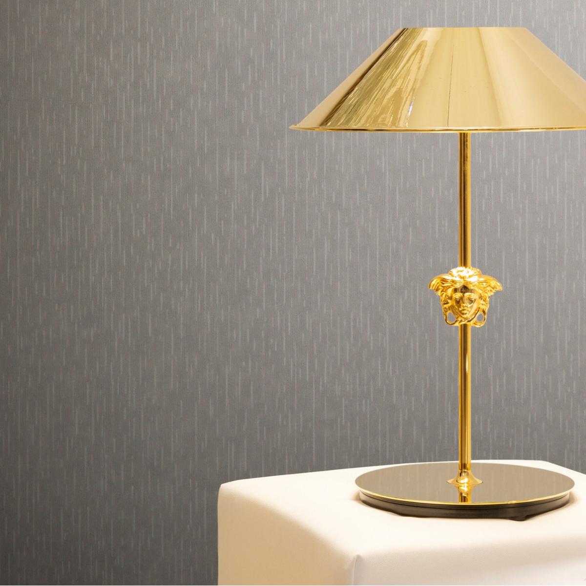 Carta da parati Versace Grigia Metallizzata Liscia in Tessuto Non Tessuto di Design di Luxury Group International