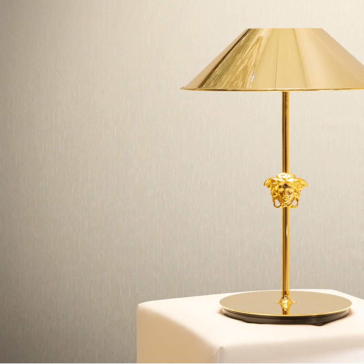 Carta da Parati Versace Bianca Grigia Metallizzata Liscia di Luxury Group International